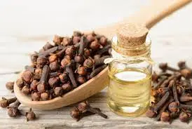 Clove Bud Essential Oil 